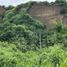  Land for sale in Manabi, Canoa, San Vicente, Manabi