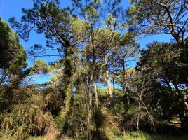  Land for sale in Pinamar, Buenos Aires, Pinamar