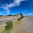  Land for sale in Neuquen, Confluencia, Neuquen