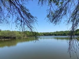 Land for sale in General Teran, Nuevo Leon, General Teran