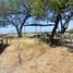  Land for sale in General Teran, Nuevo Leon, General Teran