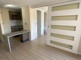 1 Habitación Apartamento en alquiler en Cordillera, Santiago, Puente Alto, Cordillera