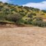  Land for sale in Melipilla, Santiago, Melipilla, Melipilla