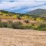  Land for sale in Melipilla, Santiago, Melipilla, Melipilla
