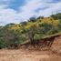  Land for sale in Melipilla, Santiago, Melipilla, Melipilla