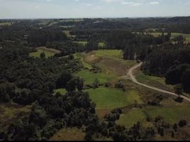  Land for sale in Los Lagos, Puerto Varas, Llanquihue, Los Lagos