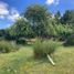  Land for sale in Los Lagos, Queilen, Chiloe, Los Lagos