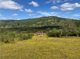  Land for sale in Los Lagos, Queilen, Chiloe, Los Lagos