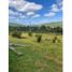  Land for sale in Los Lagos, Queilen, Chiloe, Los Lagos