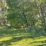  Land for sale in Chile, Lautaro, Cautin, Araucania, Chile