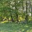  Land for sale in Chile, Lautaro, Cautin, Araucania, Chile
