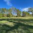  Land for sale in Chile, Lautaro, Cautin, Araucania, Chile