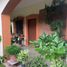 5 Habitación Villa en alquiler en Colima, Colima, Colima, Colima, México