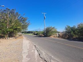  Grundstück zu verkaufen in Colima, Colima, Colima, Colima