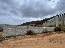  Grundstück zu verkaufen in Tecate, Baja California, Tecate