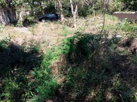  Grundstück zu verkaufen in Conkal, Yucatan, Conkal