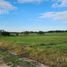  Land for sale in Colon, Entre Rios, Colon