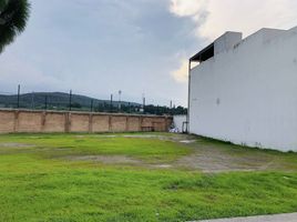  Terrain for sale in Zapopan, Jalisco, Zapopan