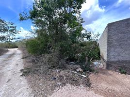  Grundstück zu verkaufen in Conkal, Yucatan, Conkal