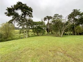  Terreno (Parcela) en venta en Rionegro, Antioquia, Rionegro