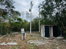  Terrain for sale in Merida, Yucatan, Merida