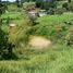  Land for sale in Belmira, Antioquia, Belmira