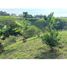  Land for sale in Dosquebradas, Risaralda, Dosquebradas