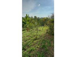  Land for sale in Dosquebradas, Risaralda, Dosquebradas