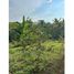  Land for sale in Dosquebradas, Risaralda, Dosquebradas