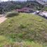  Land for sale in Rionegro, Antioquia, Rionegro