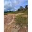  Land for sale in Rionegro, Antioquia, Rionegro