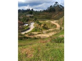  Land for sale in Rionegro, Antioquia, Rionegro
