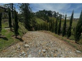  Terreno (Parcela) en venta en La Ceja, Antioquia, La Ceja