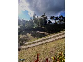  Terreno (Parcela) en venta en El Bagre, Antioquia, El Bagre