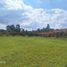  Land for sale in Salento, Quindio, Salento