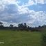  Land for sale in Salento, Quindio, Salento