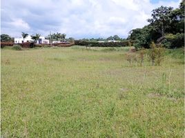  Land for sale in Salento, Quindio, Salento