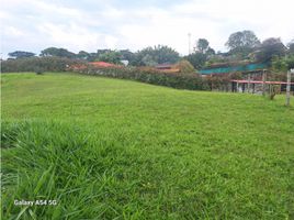  Land for sale in Salento, Quindio, Salento