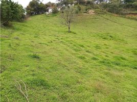  Land for sale in Marinilla, Antioquia, Marinilla