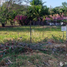  Land for sale in Nueva Gorgona, Chame, Nueva Gorgona