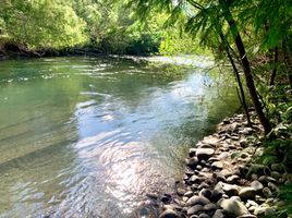  Terreno (Parcela) en venta en Cautín, Araucanía, Villarrica, Cautín