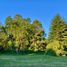  Terreno (Parcela) en venta en Cautín, Araucanía, Villarrica, Cautín