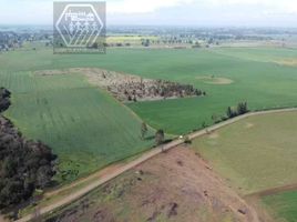  Terreno (Parcela) en venta en Chile, Lautaro, Cautín, Araucanía, Chile