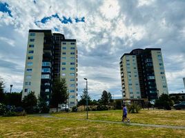 로스 라고스PropertyTypeNameBedroom, Osorno, 오르 르노, 로스 라고스