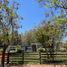  Land for sale in Chacabuco, Santiago, Colina, Chacabuco