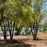  Land for sale in Chacabuco, Santiago, Colina, Chacabuco