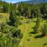  Terreno (Parcela) en venta en Chile, Cauquenes, Cauquenes, Maule, Chile