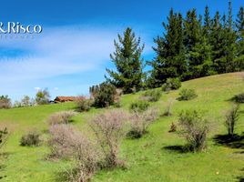  Terreno (Parcela) en venta en Chile, Cauquenes, Cauquenes, Maule, Chile