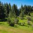  Terreno (Parcela) en venta en Chile, Cauquenes, Cauquenes, Maule, Chile