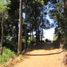  Land for sale in Maule, Cauquenes, Cauquenes, Maule
